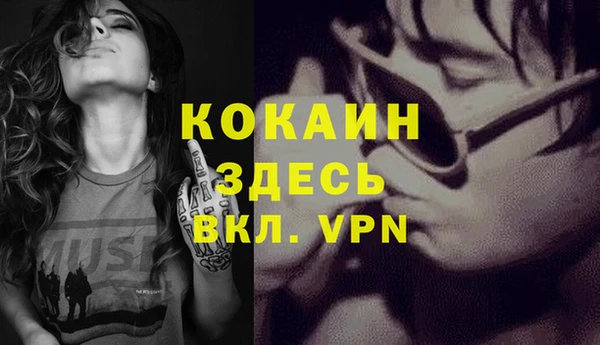 кокс Арсеньев