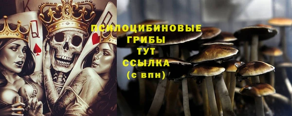 спайс Армянск
