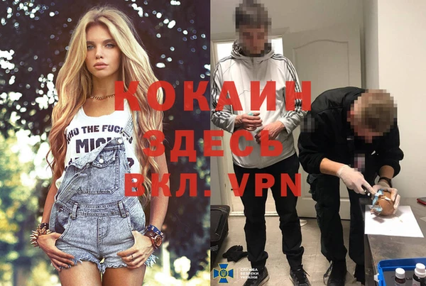 кокс Арсеньев