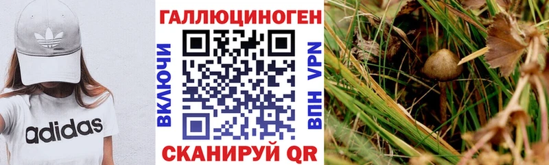 Галлюциногенные грибы мухоморы  гидра вход  Кунгур  что такое наркотик 
