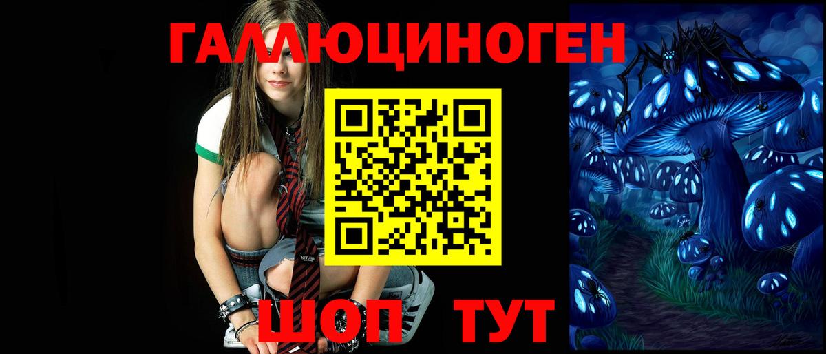 Кунгур  Псилоцибиновые грибы прущие грибы  Вход с VPN  наркота  Галлюциногенные грибы GOLDEN TEACHER 