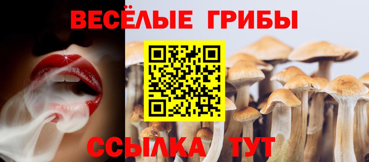 Псилоцибиновые грибы прущие грибы Кунгур